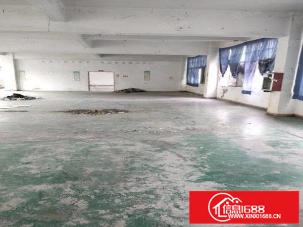 平湖800平方厂房有电梯办公室17元低价租