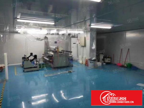 出租|万江标准厂房500平原房东