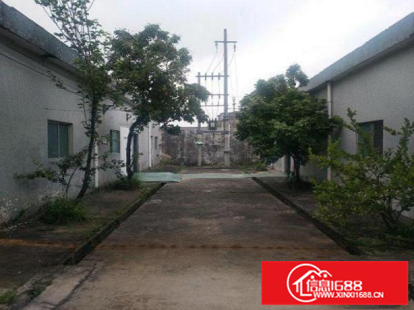 福田镇独院厂房出租，空地大，证件齐全，办环评无忧