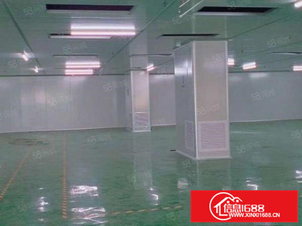 大井头自家1800平厂房11全包精装修