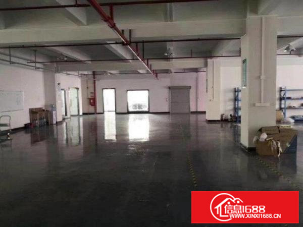 凤岗新空楼上1150地坪漆消防喷淋厂房靓价格可谈