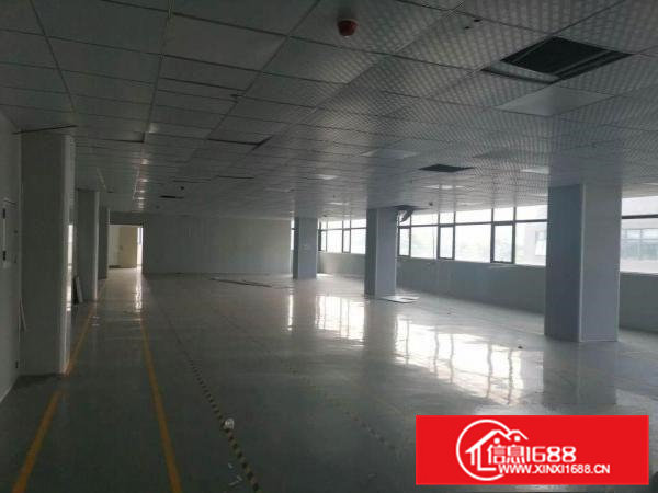 出租黄江镇北岸社区内无尘车间合适口罩、电子等生产