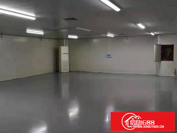 大浪新百丽星辉科技园贴片无尘1000平豪华装修免转让费急租