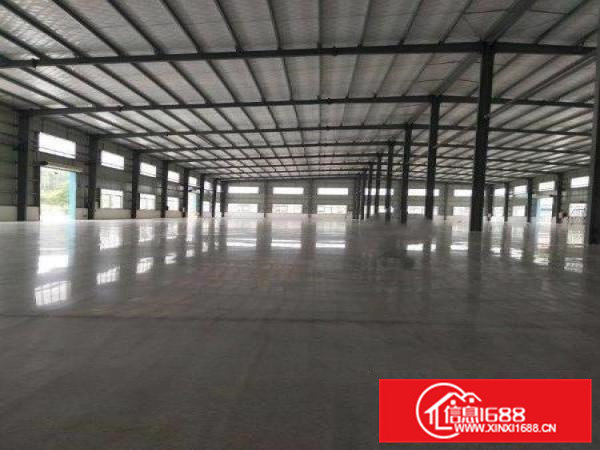 大岭山镇月山村附近新出滴水9米高钢构厂房出租可分租