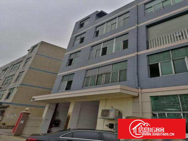 横岗四联1150平方带装修厂房出租无转让费