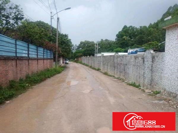 常平独院单一层厂房出租