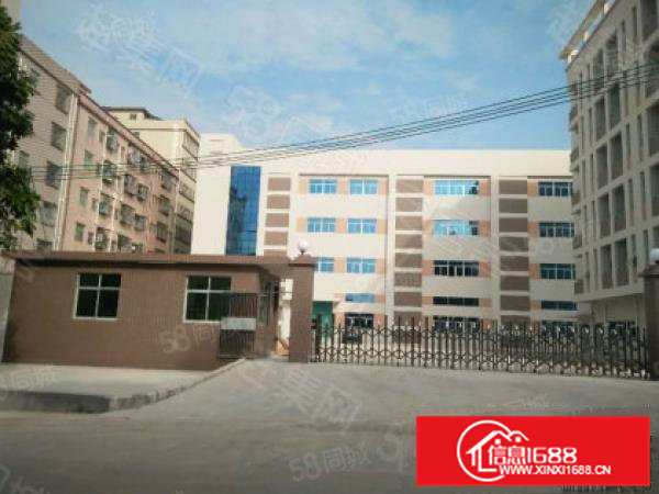 大朗新出一楼1000平方空地大地段优越带装修易招工