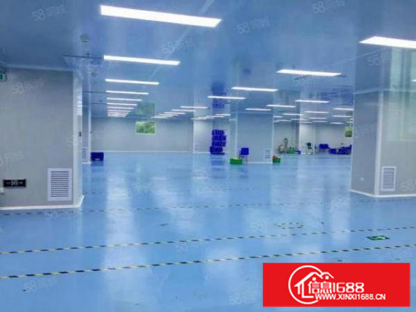 无需转让费大朗蔡边700平方无尘车间证件齐全