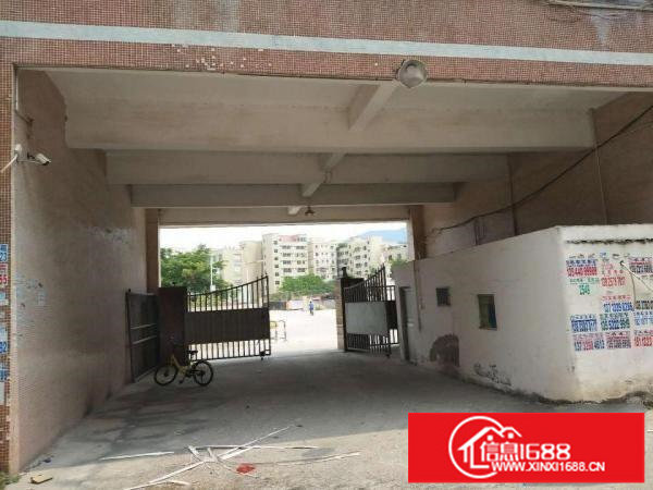 出租龙岗区横岗大康3900平独院厂房