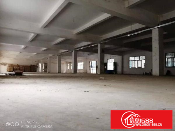 镇隆204国道边村委3300平标准厂房，无公摊可办证。