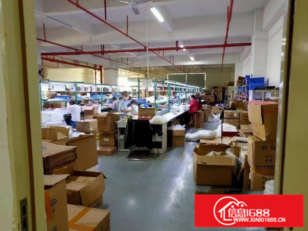 虎门白沙3楼1600平蒋精装修厂房出租，可分租两家800平方