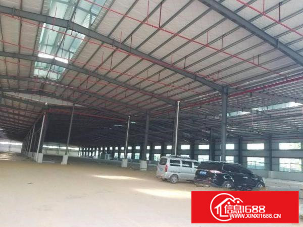 模具城附近靠常平新出单层11米高钢构