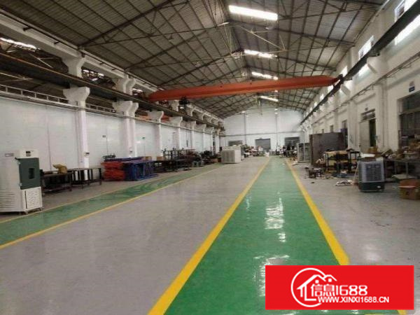 园洲高头工业区新出钢构1080平厂房带精装修地坪漆