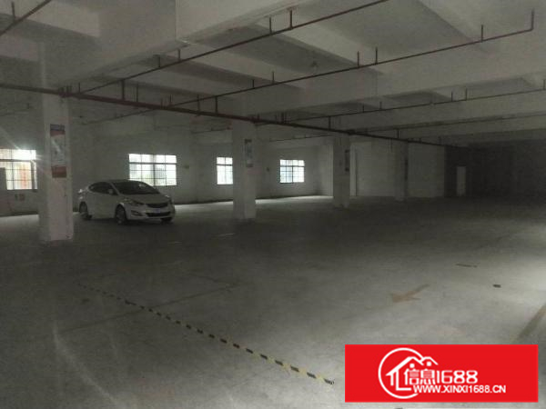 园洲福兴工业区花园式独院10000平方出租