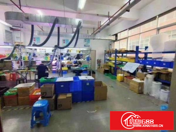 观澜樟坑径新原房东1500平精装厂房出租