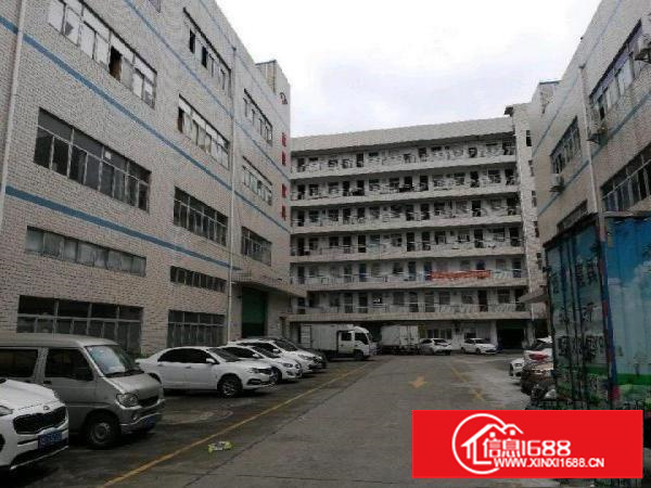 坪山金碧路旁新空出1300平米厂房出租