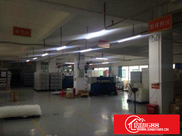 龙岗南联爱南路新出独院一楼500平出租高5米