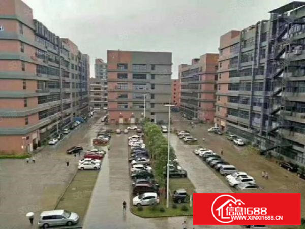 凤岗金凤凰东深二线边6米高一楼2000平厂房出租，大小可分租