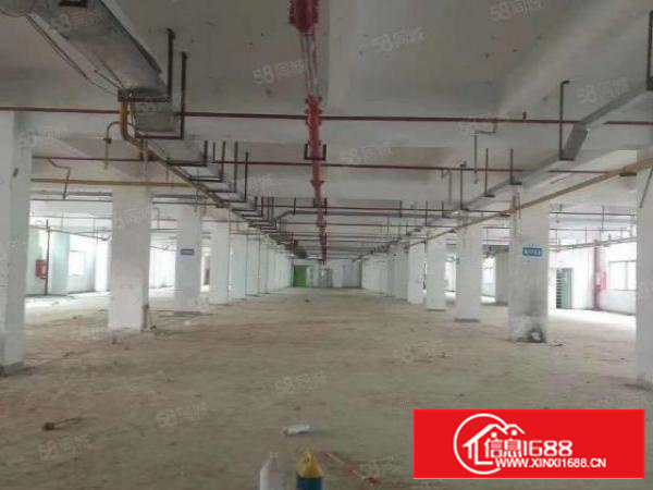 凤岗雁田一楼2000平厂房出租可以分租原房东超大空地可办环评