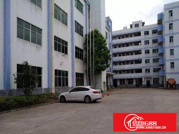 常平元江元标准厂房1600平方