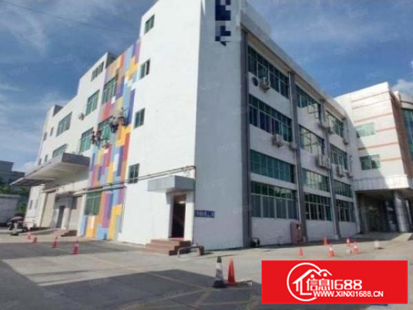 正规厂房，二楼，实用300平方