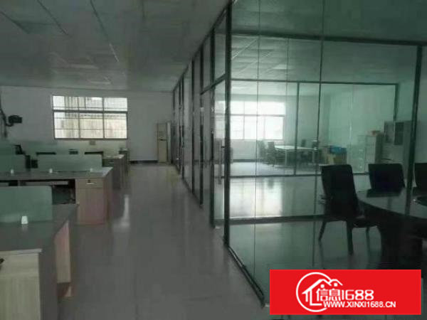 常平新出原房东标准一楼1800平方