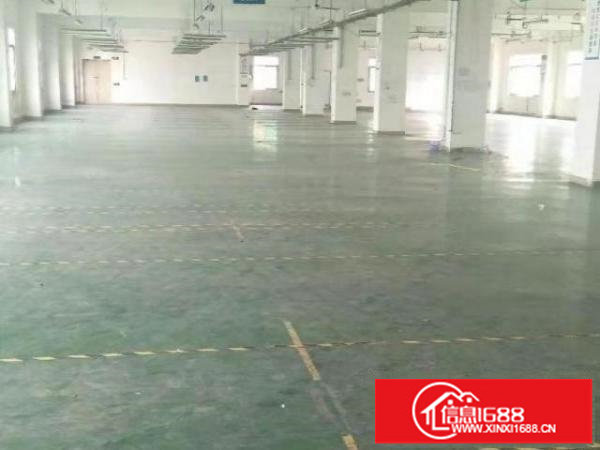 龙岗爱联嶂背工业区独院厂房出租4800平方可分租