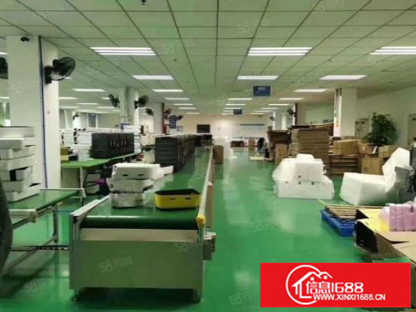 平湖8000平方空地大独院厂房仓库出租可分租,1000平起分