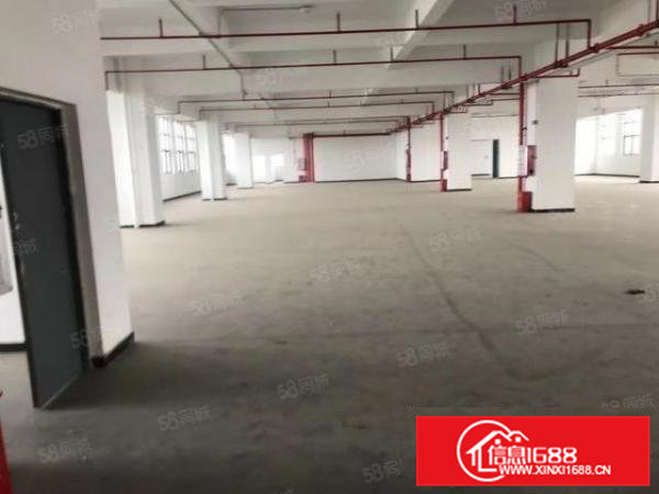 看中好谈大朗松柏朗7800平方超靓独院厂房15元可包租