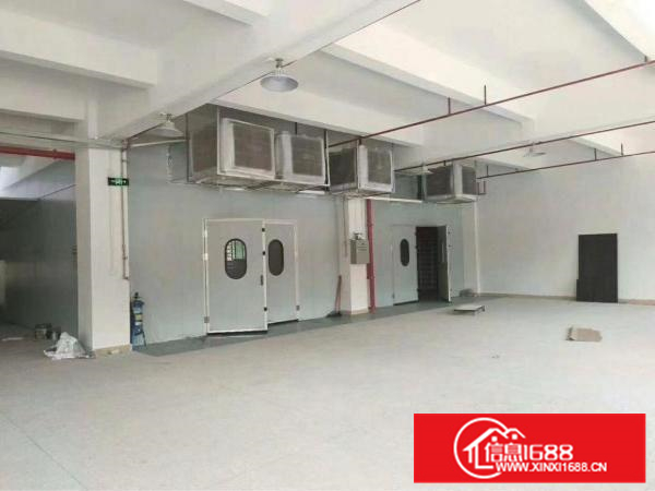 新墟5600平独院，可做喷油，证件齐全