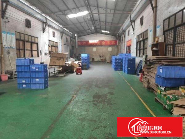 新出独门独院厂房出租带办公空地大交通方便