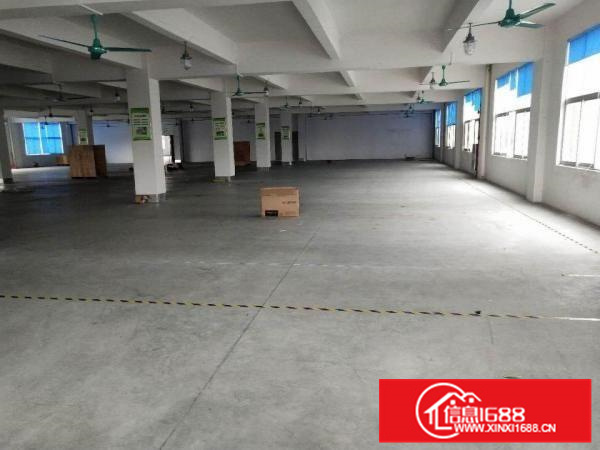 容桂标准1850方，厂房方正实用，采光好，进车方便