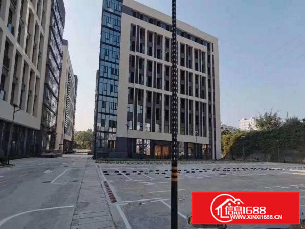 长安镇厦岗原房东全新重工业厂房28000平方低价招租，可分租