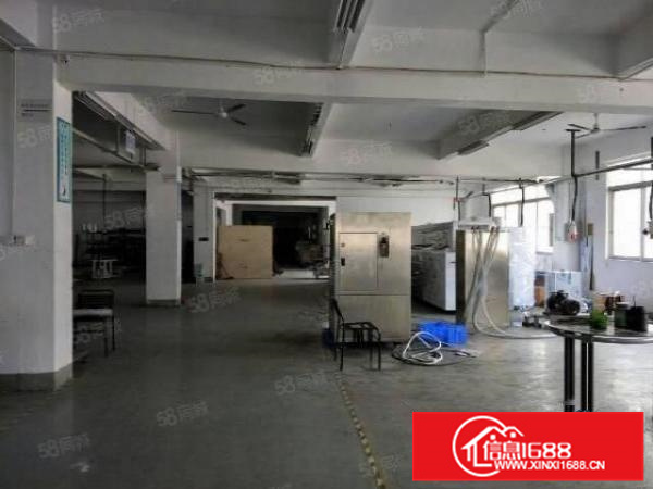 有证，不拆迁，容桂独栋一楼800方标准厂房，形象好