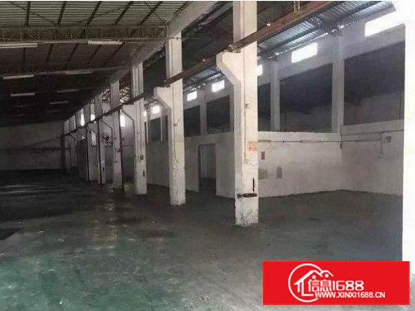 平湖良安1500平方单一层钢构厂房滴水8米高电量充足