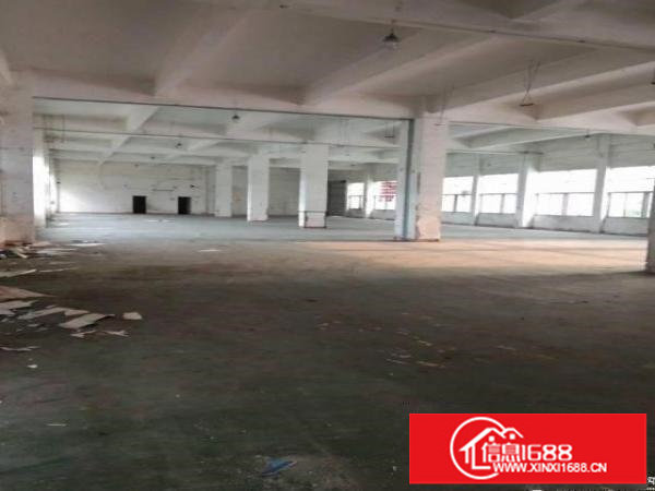 横岗带装修一楼厂房1000平方，可分租500平方