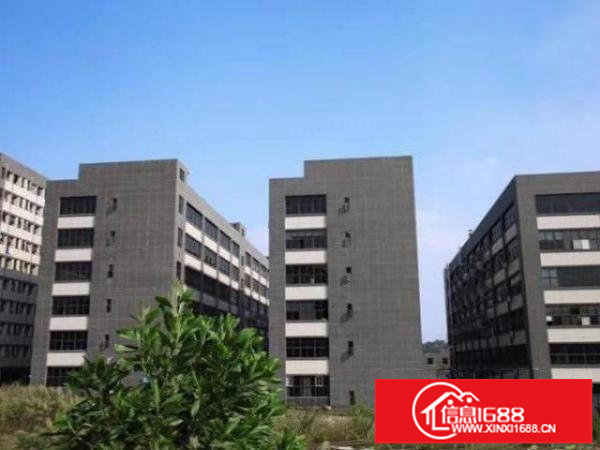 龙岗宝龙新空出整层5000平米带装修厂房出租带装修3