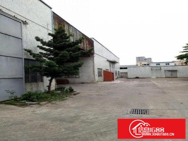 坪山石井路口钢结构厂房900平米出租