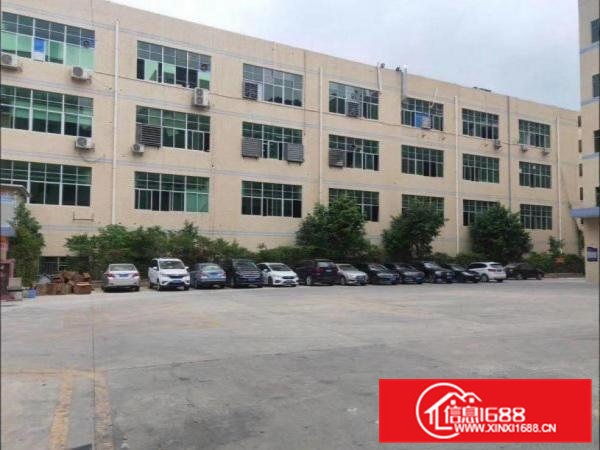 出租大朗镇水平新出（原房东豪华装修带环评）一楼1350平