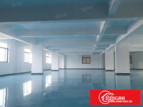 沙头新出独栋厂房招租