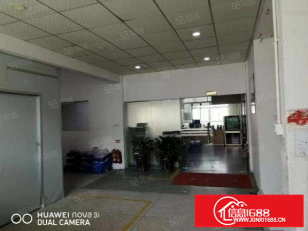 桥头原房东小独院4500平方