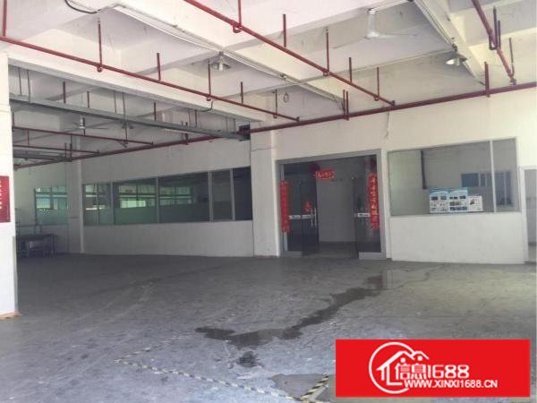 坂田五和南坑民乐杨美上雪一楼厂房物流仓库100平一3000平