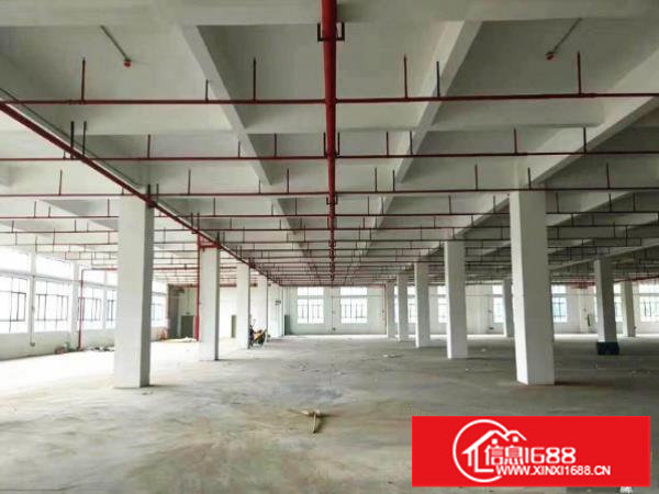 龙岗坪地工业园标准楼上2000平米办公楼