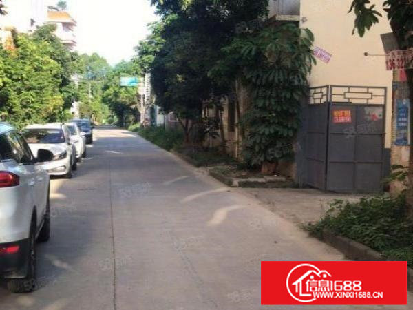 高埗镇保安围新出单一层独院厂房1600