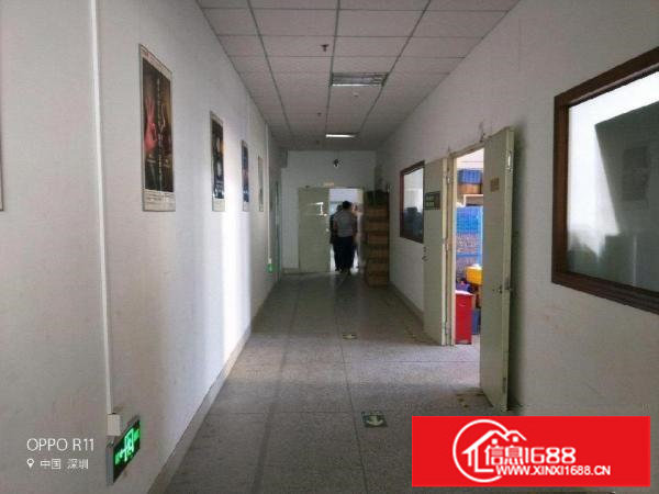 坂田雪象厂房900平米