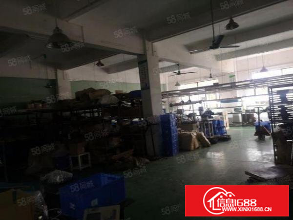 横沥新出一楼实际面积800平方价格18元水电齐全无需转让费