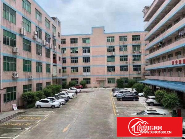 星光新出楼上精装厂房1100平，可办环评