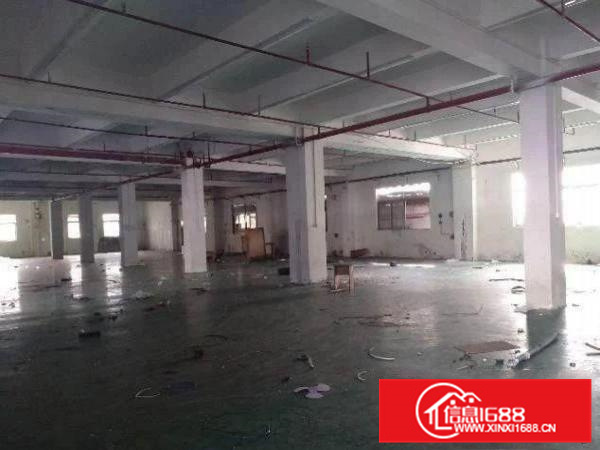 水电相通~潼湖三和村二楼700平带豪华装修厂房出租