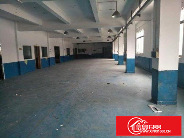 横沥镇企石镇独门独院厂房6500平米可分租