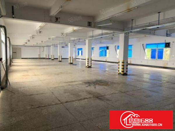 丹竹头小独栋厂房430平米一层共4层有货梯任意分租